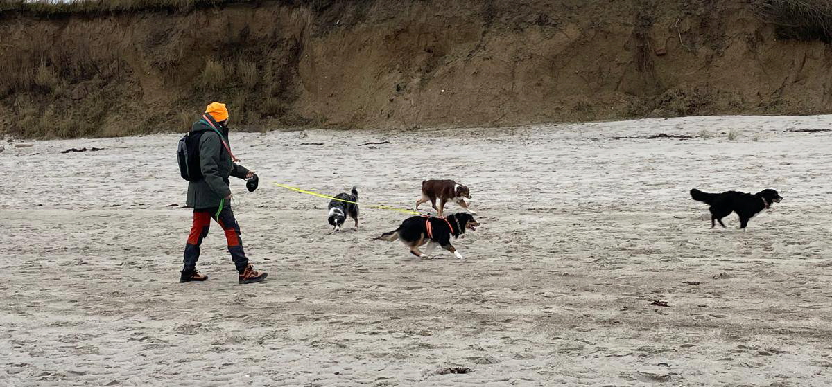 471226457_9596287267118675_638359707208914994_n