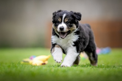 505122265_24586719350930967_7548697527493745811_n