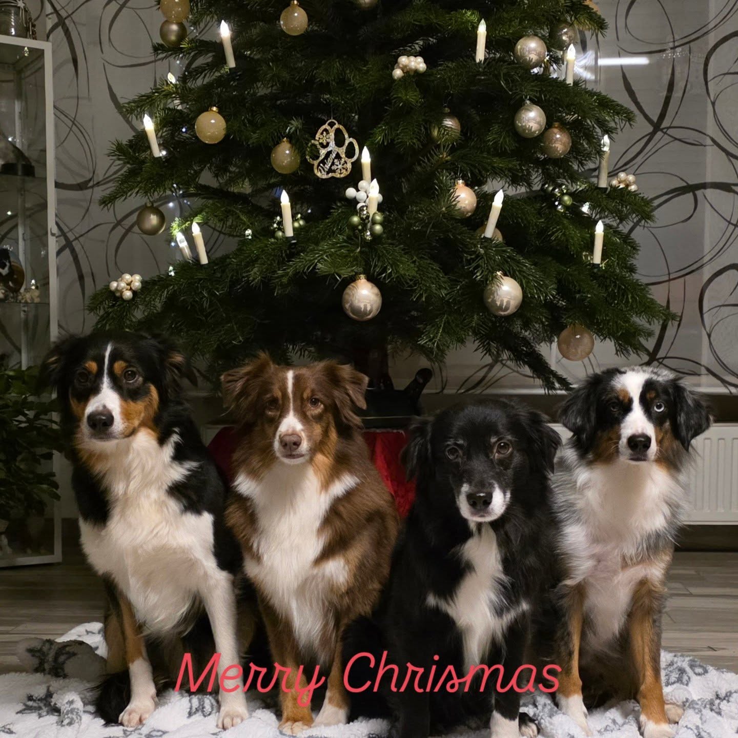 590410786_18389891524183558_8740878925633382734_n